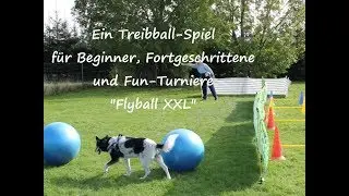 Treibball Spiel: Flyball XXL f&uuml;r Beginner und Fortgeschrittene