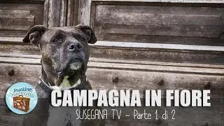 TV Susegana - Passaggiata lungo il Castello (Parte 1 di 2)