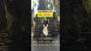 Explore Bali with Trip Booker