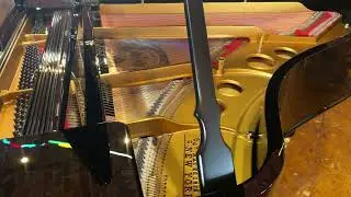Rebuilt, Steinway Model O Grand Piano Walkaround 4k