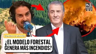¿Conexión con INCENDIOS? Winter DENUNCIA el MODELO de las FORESTALES con PONCE LEROU | #TurnoEnVivo