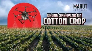 Drone Spraying on a Cotton Crop | Drones can Spray on Multiple Crops