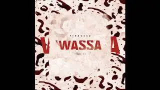 DJ Pingusso - Wassa (Original mix) Teaser