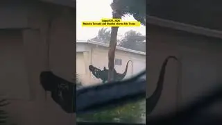 Massive Tornado and thunder storms hits Texas 🌪️ #tornado #epicweather #hurricane