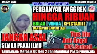 PERBANYAK ANGGREK.! Satu anggrek bisa jadi seribu // Ratu Anggrek
