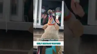 Собака получает сюрприз в виде щенячьего кубка на день рождения! 🐾🎉