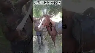 Sotho boys are riding horses everyday. #horseriding #horselovers