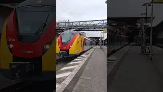 BR. 1440 Ersatzfahrzeuge von Der HLBahn Hessenbahn GmbH fahren bei Agiles in Bayern #trainspotting