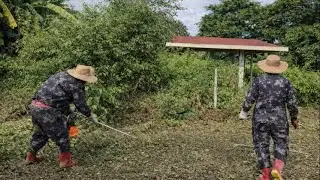 This House Was Almost Invisible — Hidden by Nature for Years