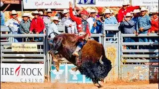Buffalo Riding Jacob Todechine