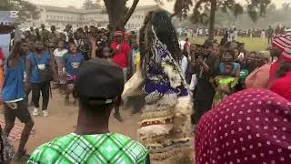 Its fun here