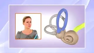 Vertigo, Dizziness, and Equilibrium Disorders: A Real Balancing Act