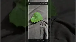 Agrimind: Capital One Hackathon Demo