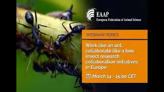 Work like an ant, collaborate like a bee: Insect research collaboration initiatives in Europe