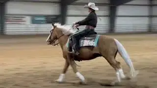 Offered at the Ranch Horse Sale & Cowboy Christmas at Headwaters Livestock Auction on December 6th.