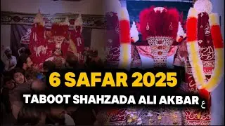 Taboot Shahzad Ali Akbar Mochi Gate Lahore | 6 Safar 2025 #mochigate #azadari #shahzadaaliakbar 