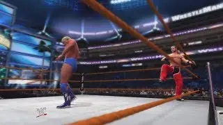 WWE 2K14 Finishers
