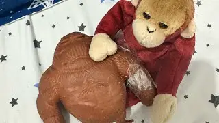 The monkey 3(healing)