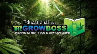 Grow Boss Live RE Stream Study Group for plant killers and beginners EP.#16