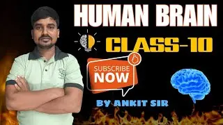 🧠 Human Brain &ndash; Class 10 CBSE | NCERT Based Full Explanation | Structure & Function #video #hindi
