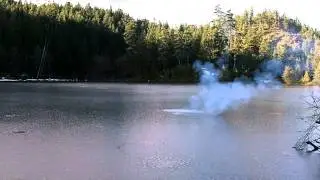 Bear Boomer Explosion