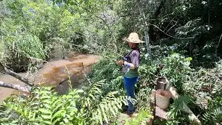 PESCARIA E CEVA NO MEIO DO MATAGAL LEVAROM TUDO NOSSAS TRAIS DE PESCA😢😢 E + !!!
