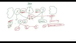 Exception 4 & 5 to Section 300 : Murder IPC