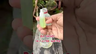How To Use Pesticides In Your Garden Plants || #shorts #youtubeshorts #gardening #garden #nature