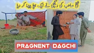 Pragnent dagchi 😱#viralvideo #viralfunnyvideo #awansquad