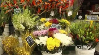 Joe Leuzzi Flowers Florist Shop in Melbourne VIC offering Floral Design and Bouquet