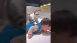 #cat #funny #happycats #catmemes #music #memes #trending #trendingshorts #tiktok #new #reels #SJ