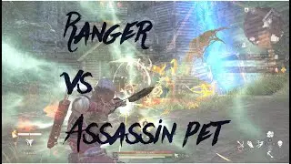 Bless Unleashed - Ranger Vs Assassin pet - new Campaign Boss fight