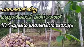 പാലക്കാട്‌ ജില്ല മണ്ണാർക്കാട് പരിസരത്തൊരു 10.5ഏകർ തെങ്ങിൻ തോട്ടം#kerala #realestate #palakkad