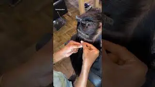 Human hair extension |☎️ 7010894135 |Chennai | Lammy Salon #hairextensions#chennai #tamil