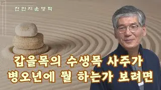갑을목의 수생목 사주가 병오년에 뭘 하는가 보려면