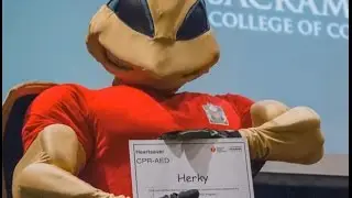 CCE: Herky the Hornet is CPR Certified: Made at Sac State