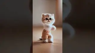 Tiny Kitten Shows Off Cute Dance Moves! 🐾💃 | Tail Tales