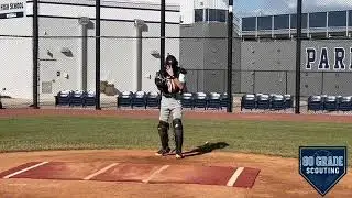 2029 C Ian Robinson
