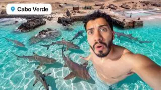 I Went to the ISLAND OF SHARKS in CAPE VERDE 🦈🇨🇻