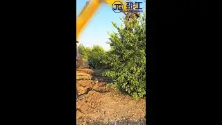 Jinggong Wood Grapple: Precise grip, zero - error wood handling!