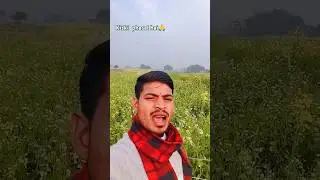 #aestheic