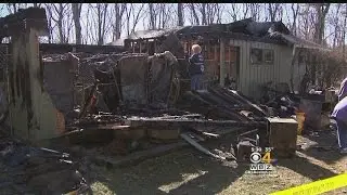 Several Dogs, Cats Killed In Paxton Animal Shelter Fire