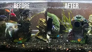 Cleaning my fish tank!!!!