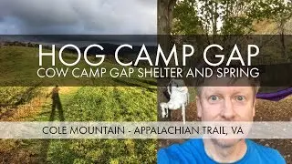 Hog Camp Gap to Cow Camp Gap Shelter &ndash; Cole Mountain View &ndash; Appalachian Trail Virginia