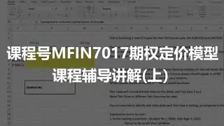 Advanced Option Pricing Models高级期权定价模型课程辅导MFIN7017（上）#留学 #business #economics #期权 #课程