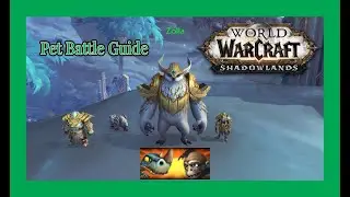 Zolla WoW Pet Battle Guide