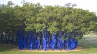 Arts InSight: Art in Houston