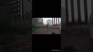 Trending Animals Funny Clips || #funny Cats #shorts Wait For Last One || #trending #animals #reels