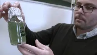 Microcystin - Features |The 2014 Algae Crisis - Part II