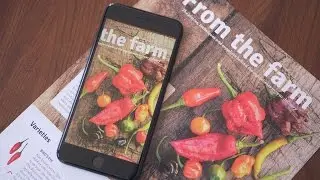 How to use iOS 10's Built in Magnifying Glass